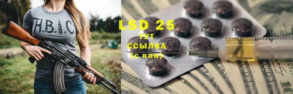 мяу мяу мука Беломорск