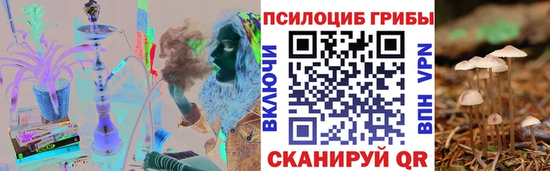купить наркотики цена Вязьма Галлюциногенные грибы ЛСД
