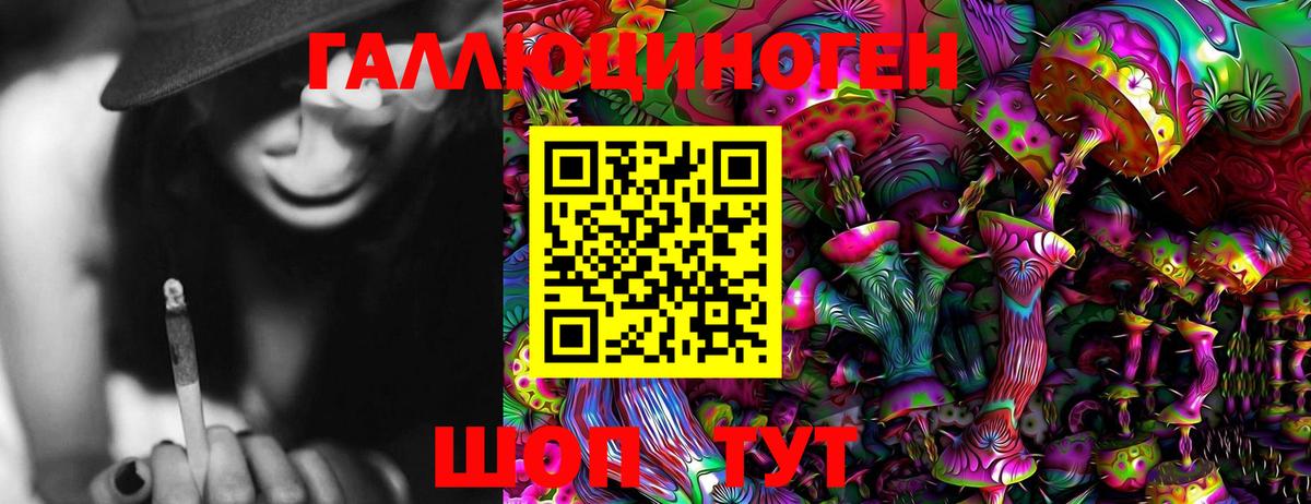 Галлюциногенные грибы Psilocybe Вязьма