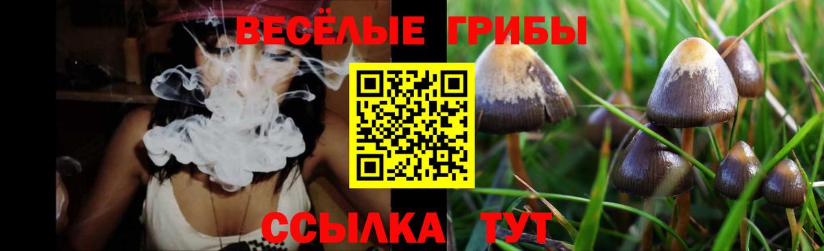 Вязьма  Псилоцибиновые грибы мицелий  Вход с VPN 